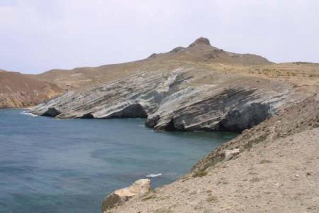 tri farka